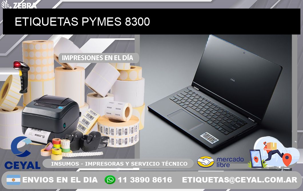 ETIQUETAS PYMES 8300