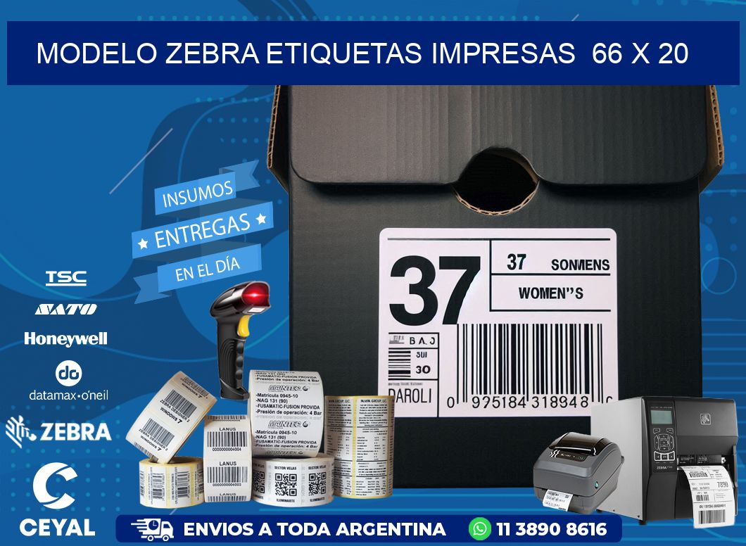 MODELO ZEBRA ETIQUETAS IMPRESAS  66 x 20