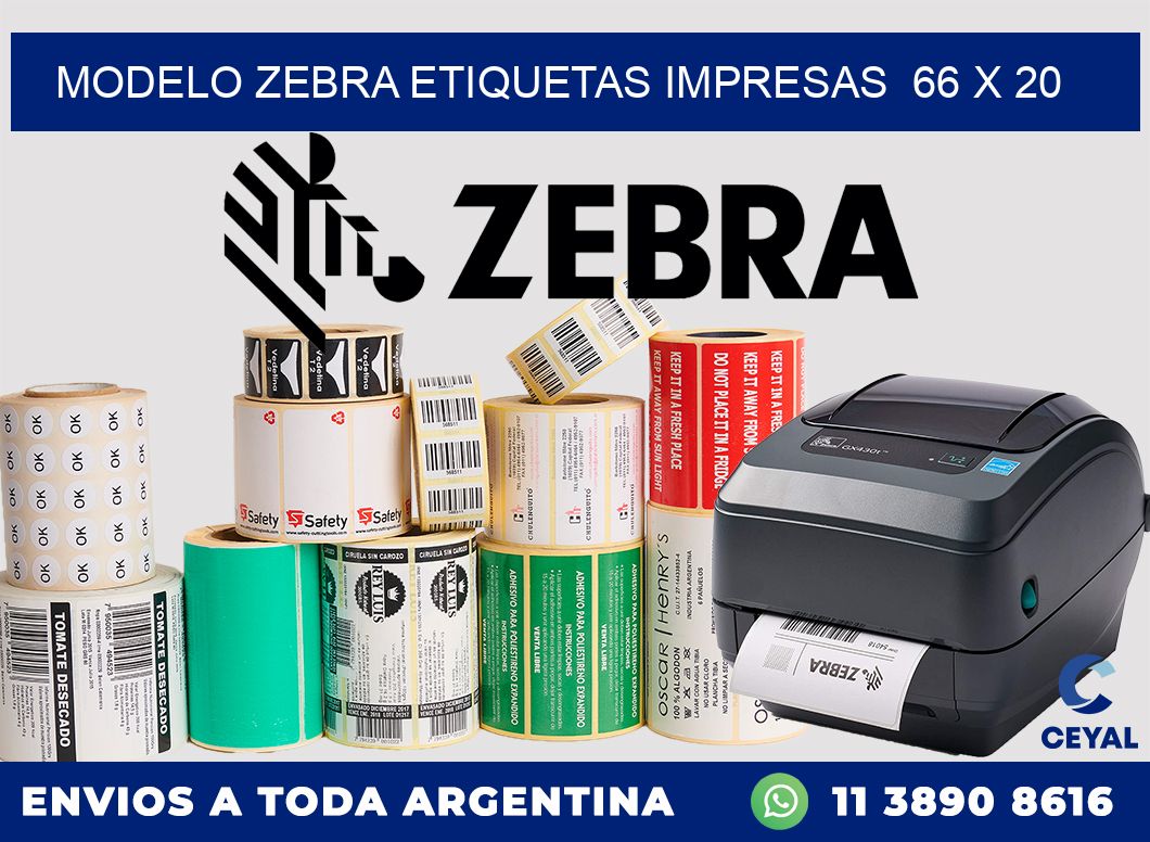 MODELO ZEBRA ETIQUETAS IMPRESAS  66 x 20