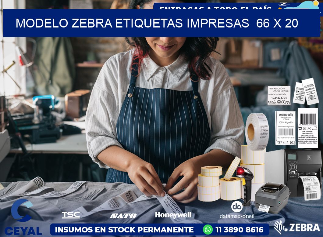 MODELO ZEBRA ETIQUETAS IMPRESAS  66 x 20