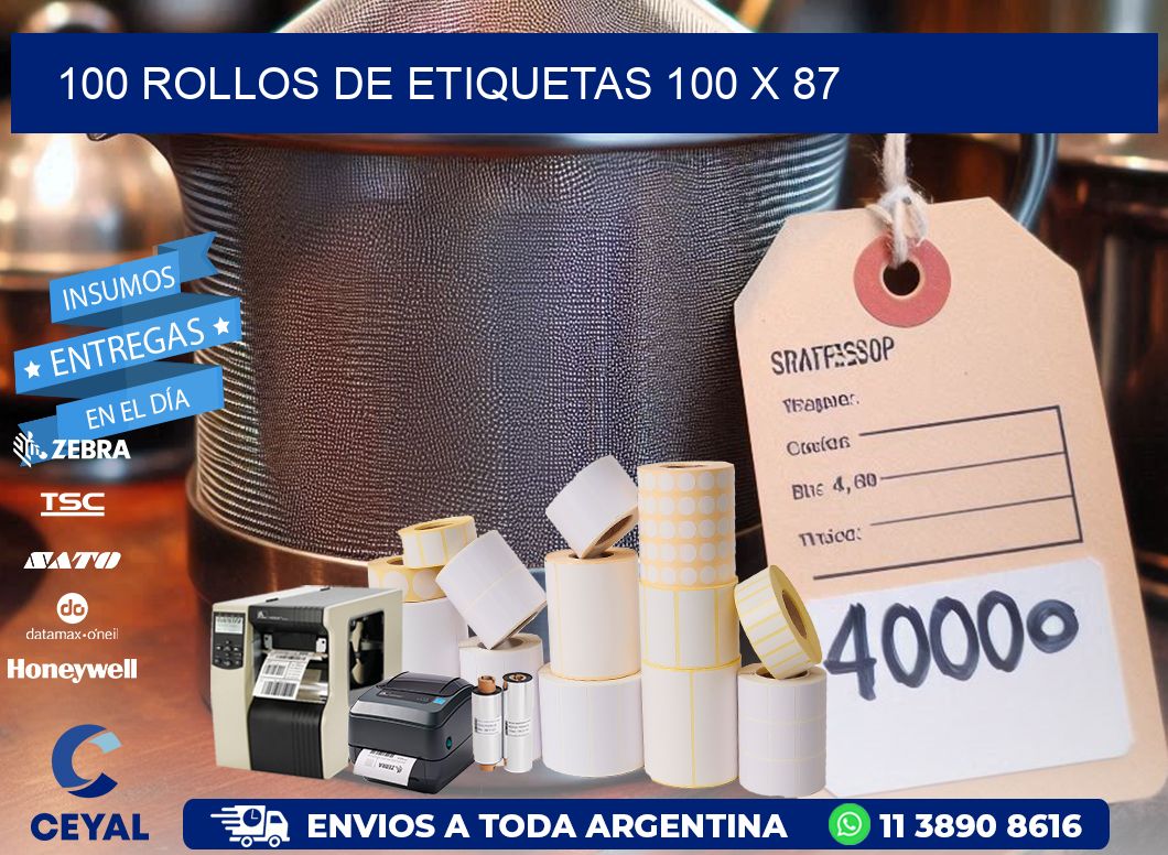 100 ROLLOS DE ETIQUETAS 100 x 87