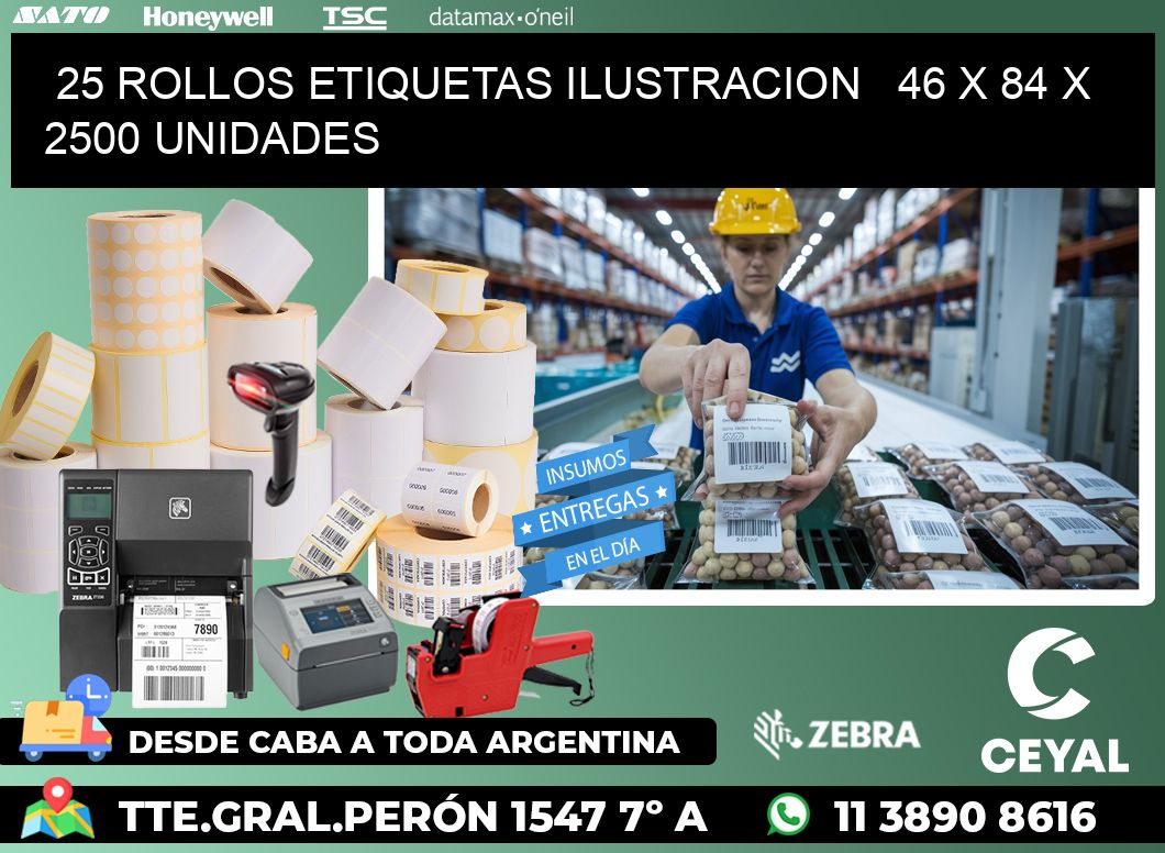 25 ROLLOS ETIQUETAS ILUSTRACION   46 x 84 X 2500 UNIDADES