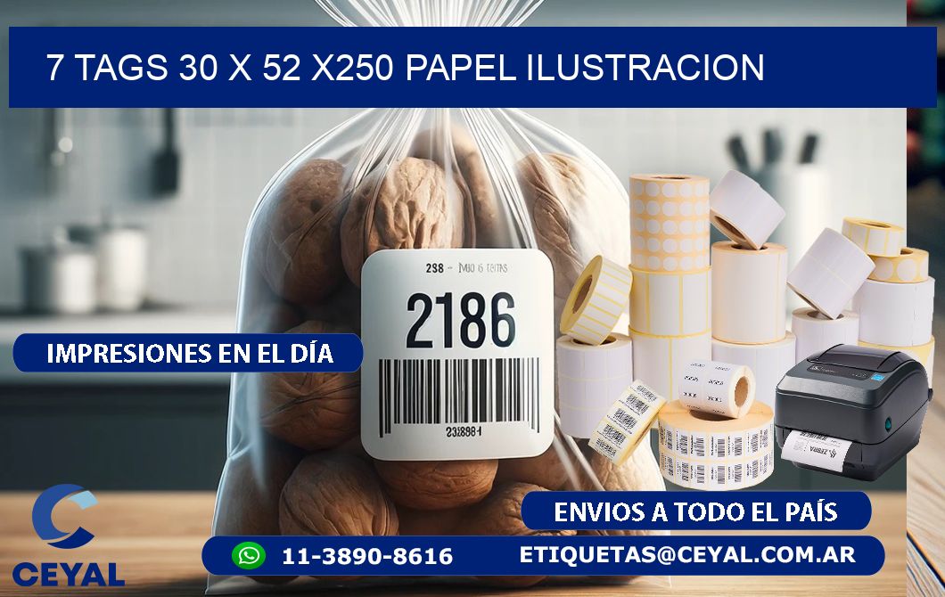 7 TAGS 30 x 52 X250 PAPEL ILUSTRACION