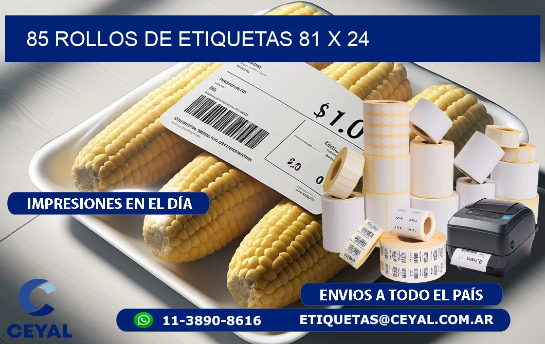 85 ROLLOS DE ETIQUETAS 81 x 24