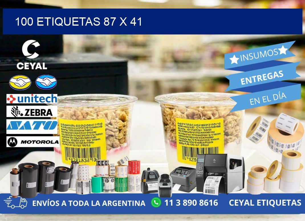 100 ETIQUETAS 87 x 41