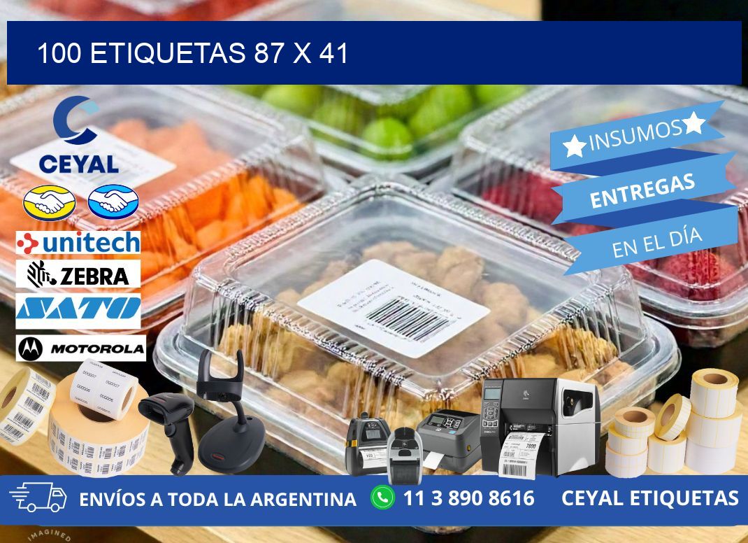 100 ETIQUETAS 87 x 41