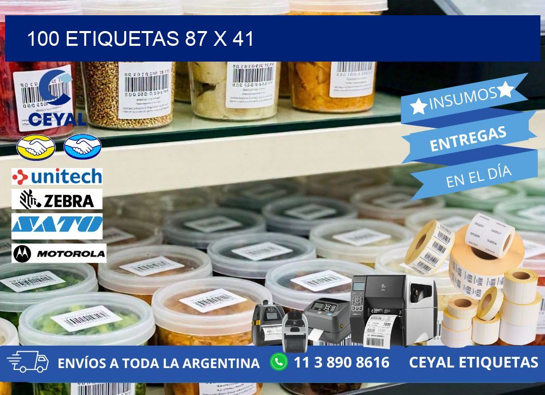 100 ETIQUETAS 87 x 41