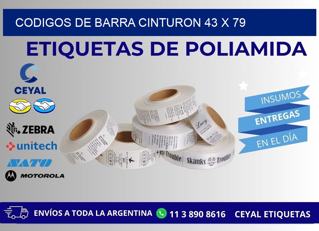 CODIGOS DE BARRA CINTURON 43 x 79