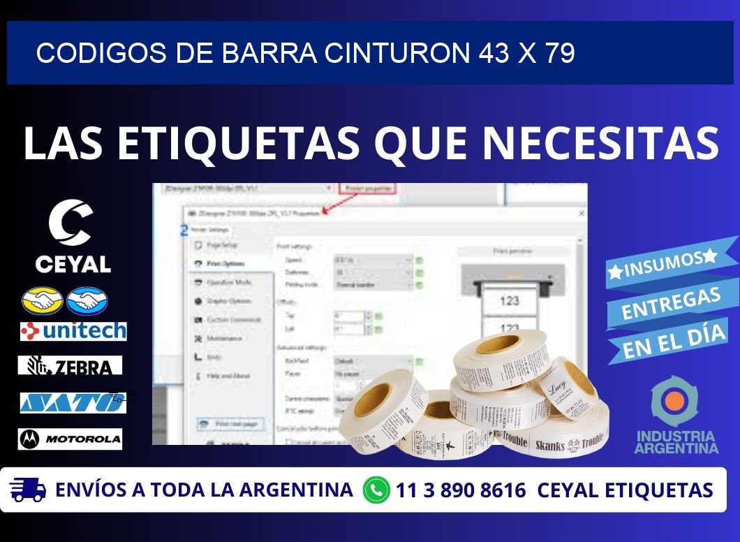 CODIGOS DE BARRA CINTURON 43 x 79