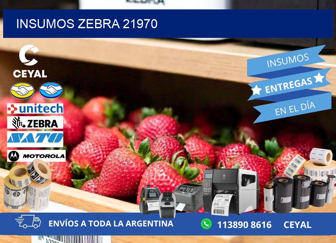 INSUMOS ZEBRA 21970