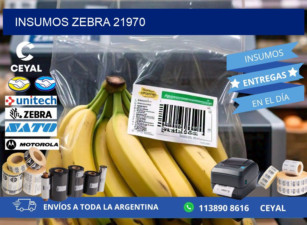 INSUMOS ZEBRA 21970
