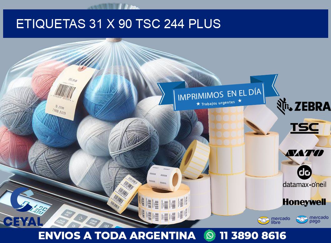 ETIQUETAS 31 x 90 TSC 244 PLUS