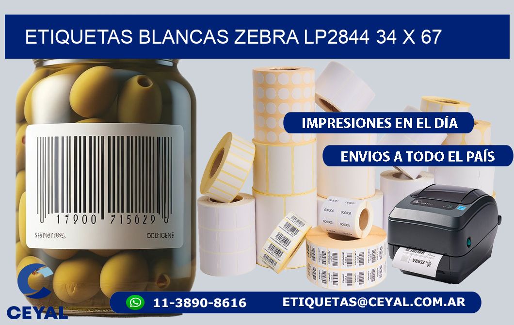 ETIQUETAS BLANCAS ZEBRA LP2844 34 x 67