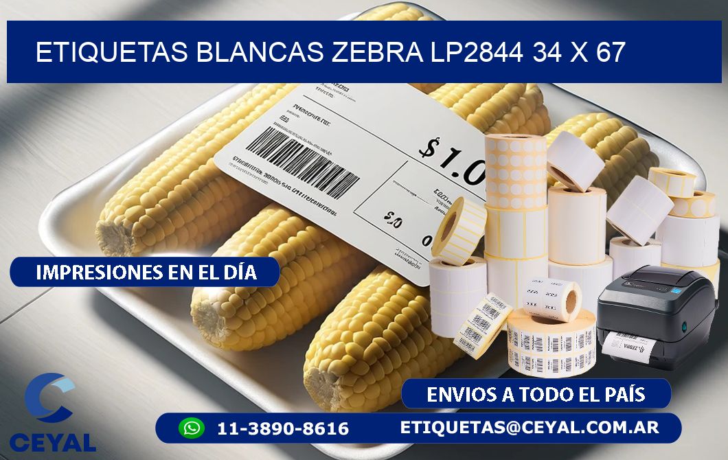 ETIQUETAS BLANCAS ZEBRA LP2844 34 x 67