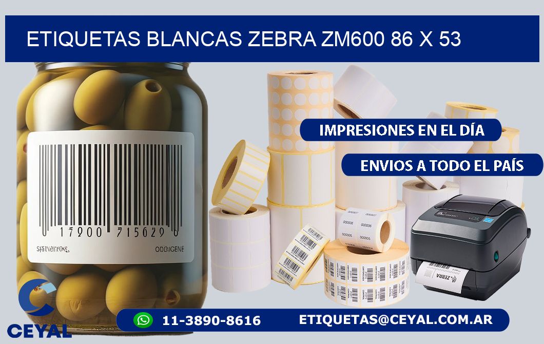 ETIQUETAS BLANCAS ZEBRA ZM600 86 x 53