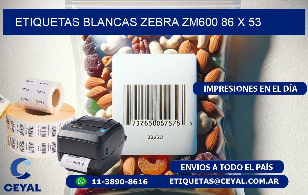 ETIQUETAS BLANCAS ZEBRA ZM600 86 x 53