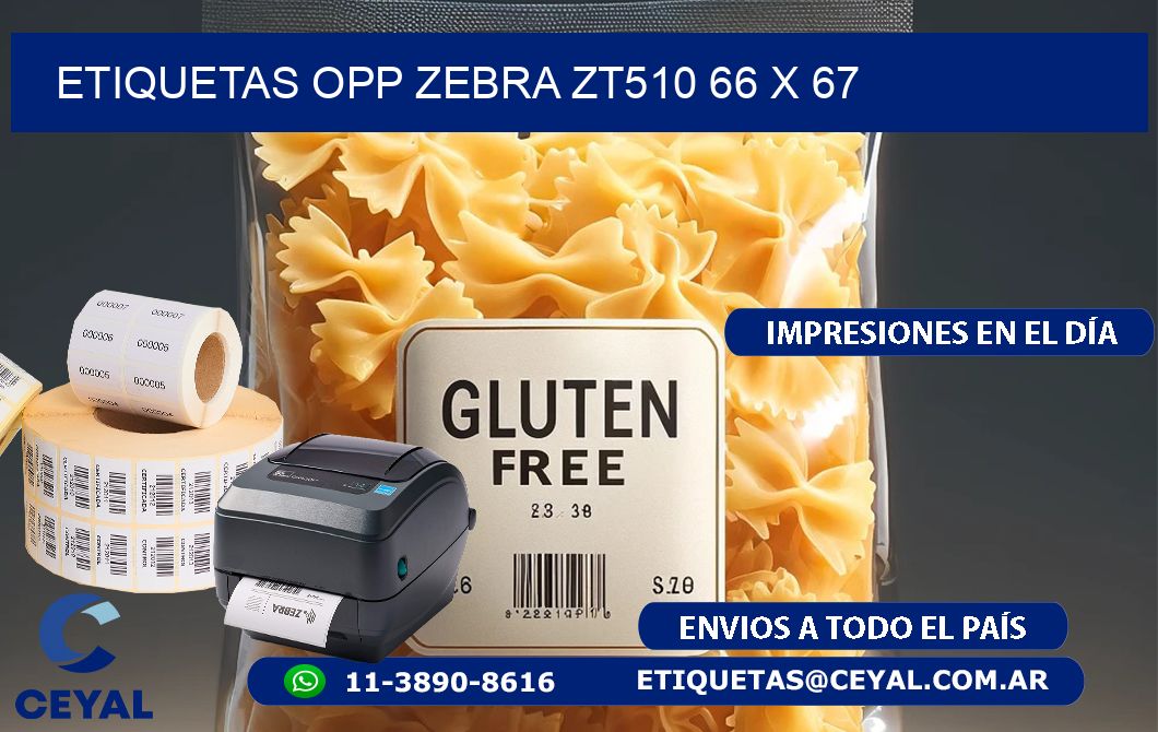 ETIQUETAS OPP ZEBRA ZT510 66 x 67