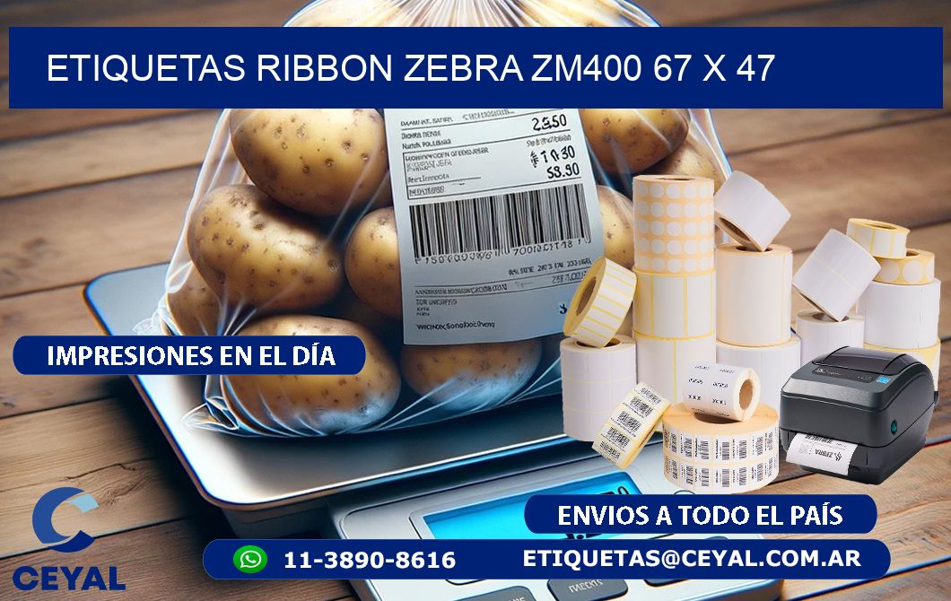 ETIQUETAS RIBBON Zebra ZM400 67 x 47