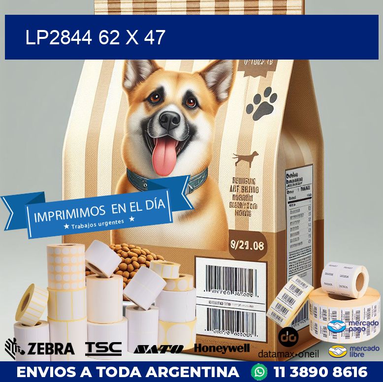 LP2844 62 x 47