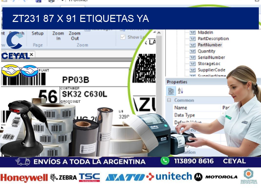 ZT231 87 x 91 ETIQUETAS YA