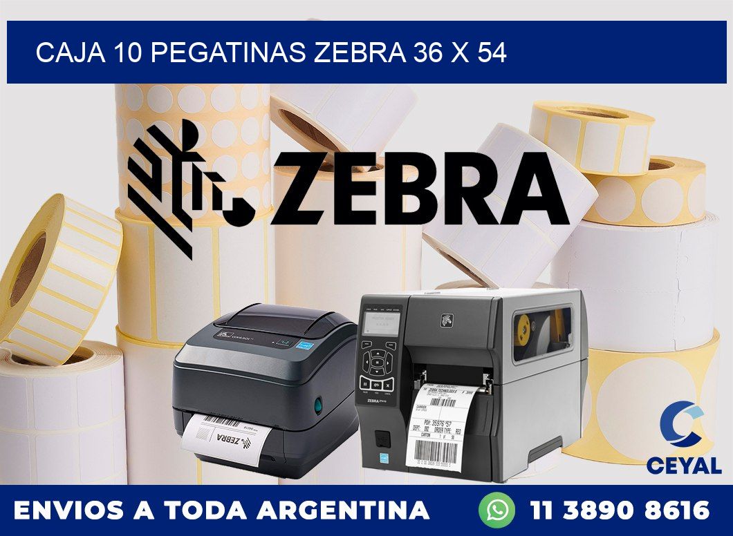 CAJA 10 PEGATINAS ZEBRA 36 x 54
