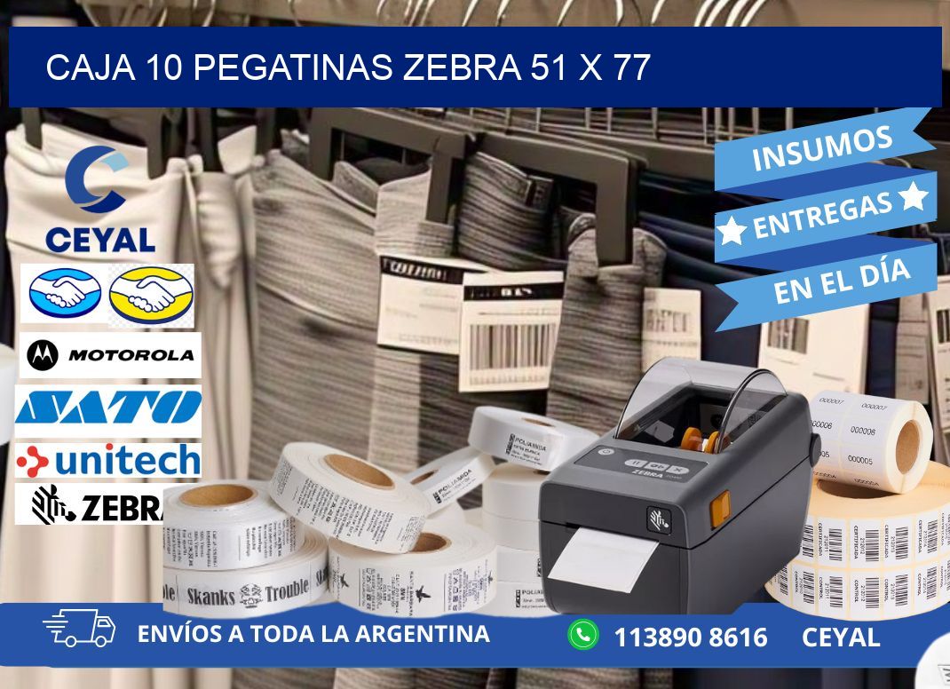 CAJA 10 PEGATINAS ZEBRA 51 x 77