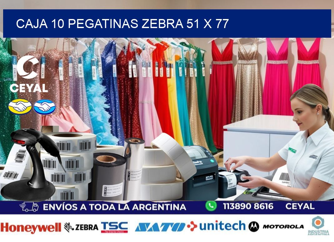 CAJA 10 PEGATINAS ZEBRA 51 x 77