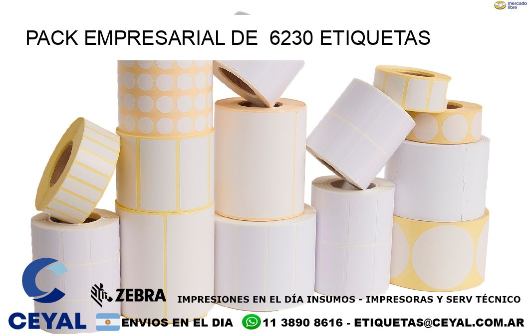 Pack empresarial de  6230 etiquetas