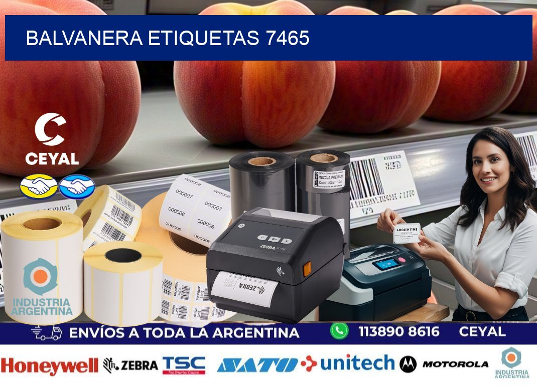 Balvanera etiquetas 7465