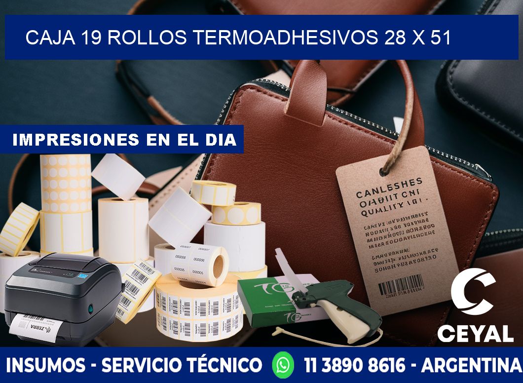 CAJA 19 ROLLOS TERMOADHESIVOS 28 x 51