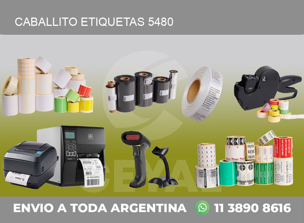 Caballito etiquetas 5480