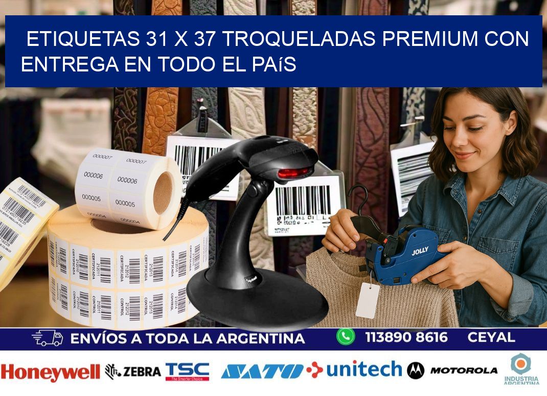 Etiquetas 31 x 37 troqueladas premium con entrega en todo el país
