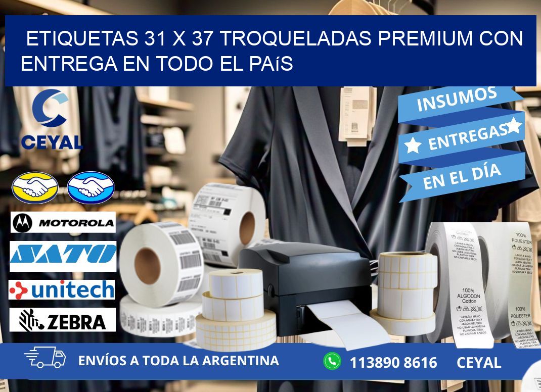 Etiquetas 31 x 37 troqueladas premium con entrega en todo el país