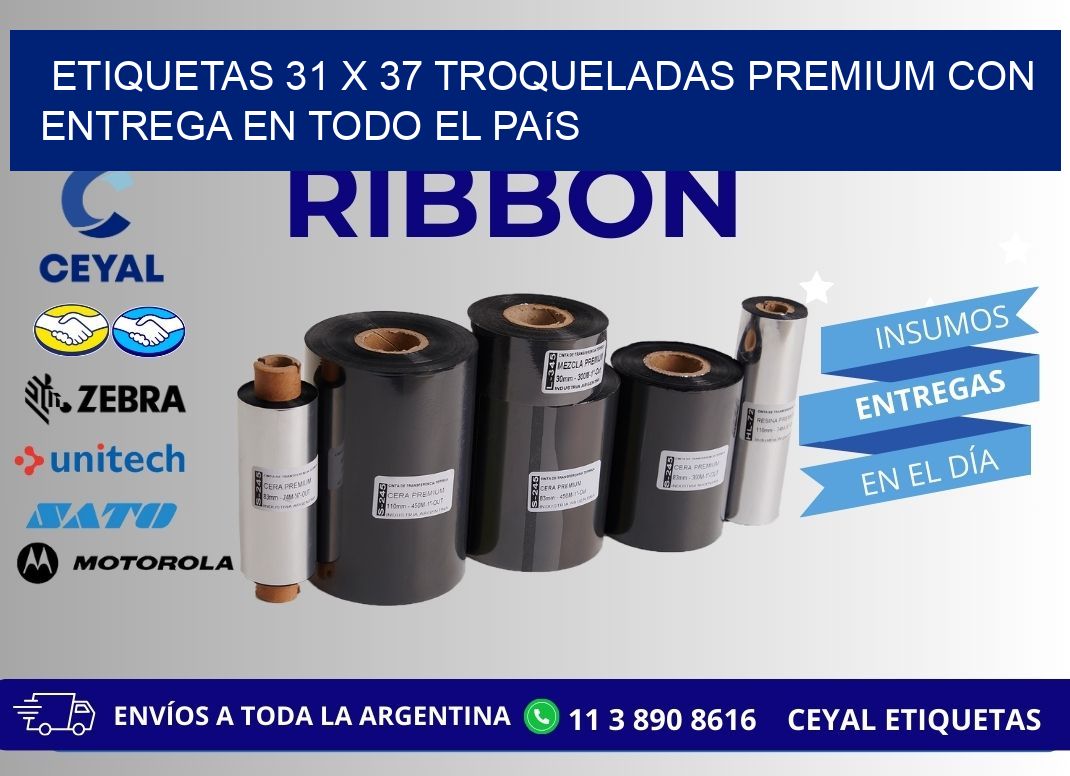 Etiquetas 31 x 37 troqueladas premium con entrega en todo el país