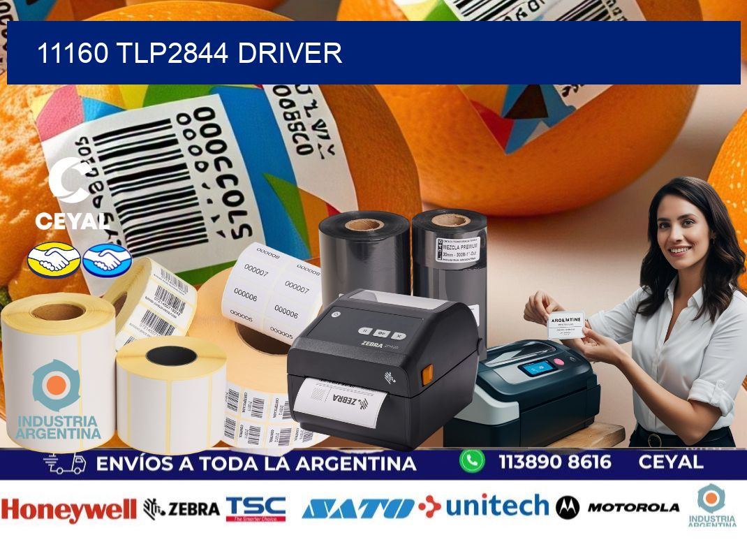 11160 TLP2844 driver