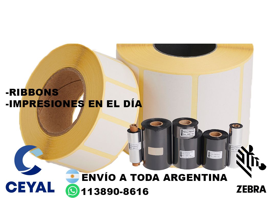 23205 Como reiniciar una impresora Zebra  ZD220