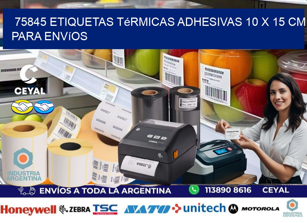 75845 Etiquetas Térmicas Adhesivas 10 x 15 cm para Envíos