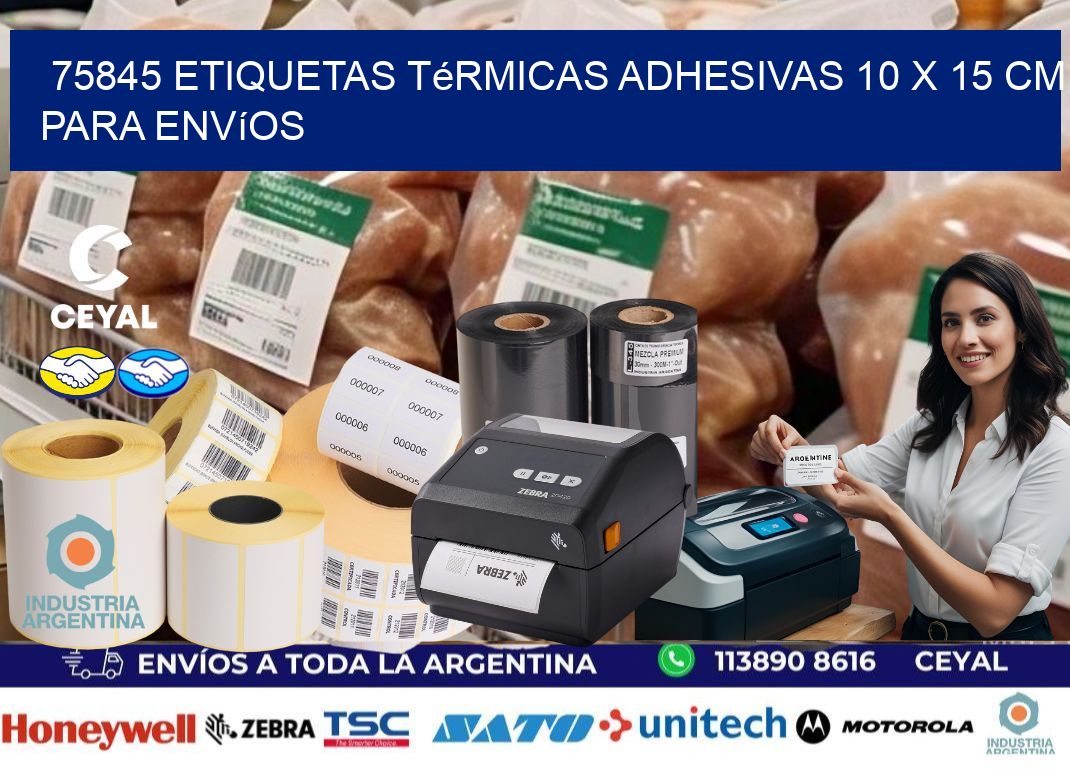 75845 Etiquetas Térmicas Adhesivas 10 x 15 cm para Envíos