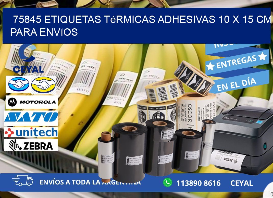 75845 Etiquetas Térmicas Adhesivas 10 x 15 cm para Envíos