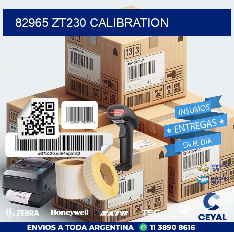 82965 ZT230 Calibration