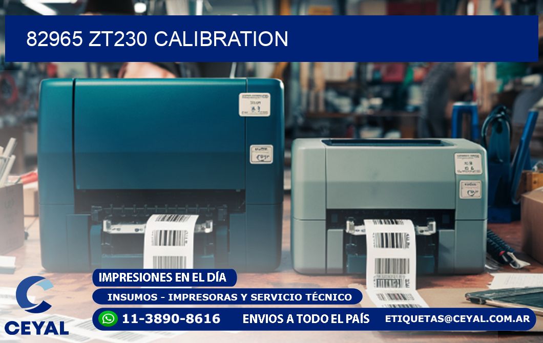 82965 ZT230 Calibration