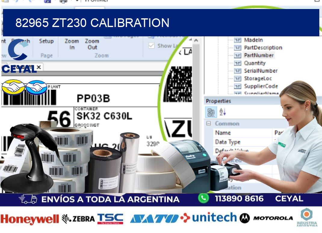 82965 ZT230 Calibration