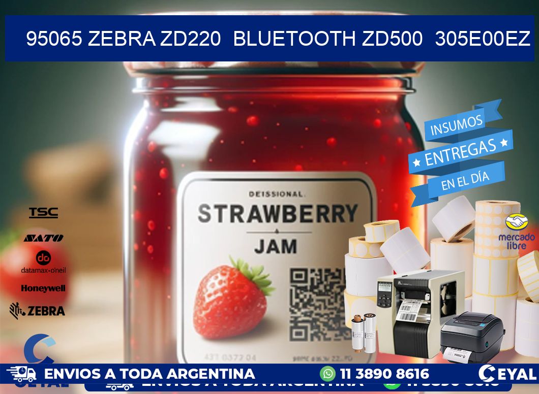 95065 Zebra ZD220  Bluetooth ZD500  305E00EZ