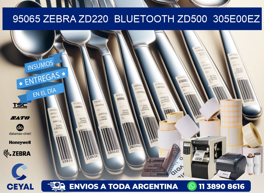 95065 Zebra ZD220  Bluetooth ZD500  305E00EZ