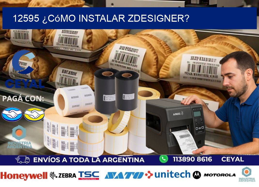 12595 ¿Cómo instalar ZDesigner?