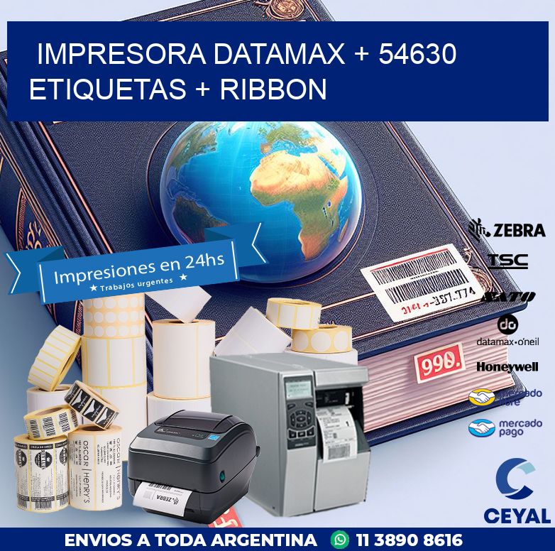 impresora DATAMAX + 54630 etiquetas + ribbon