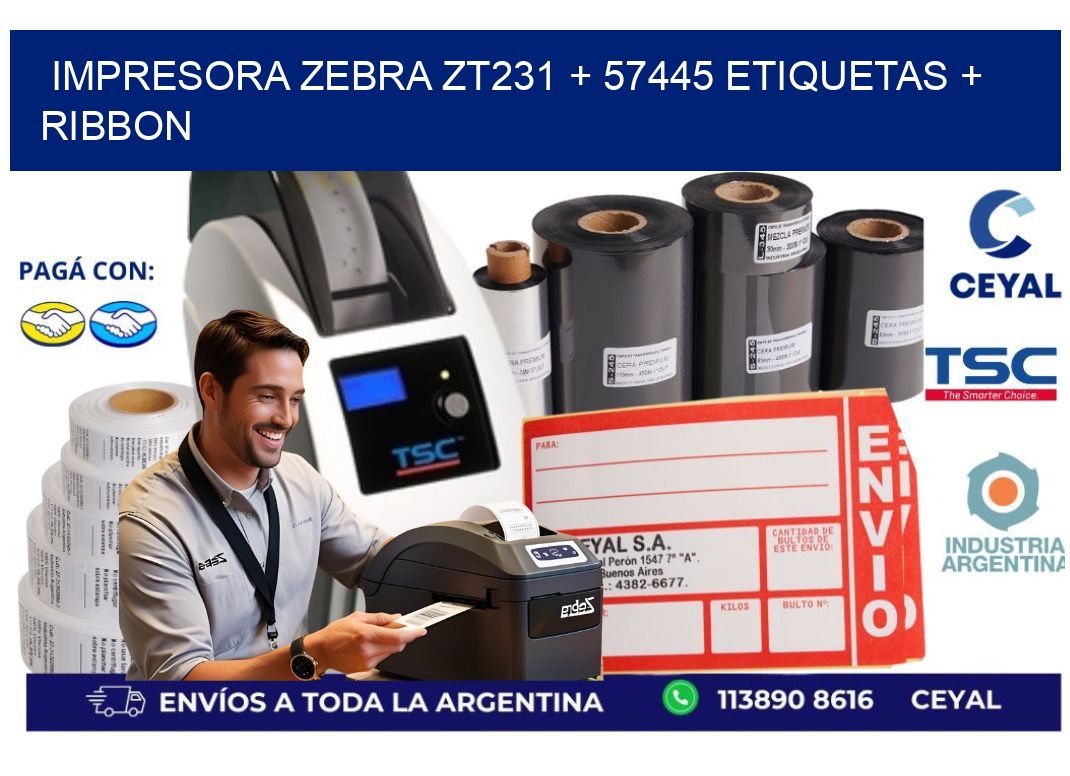 impresora zebra zt231 + 57445 etiquetas + ribbon