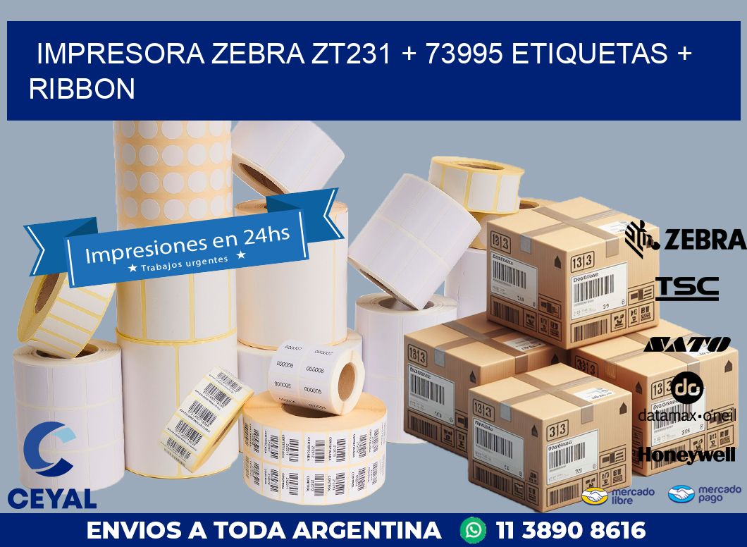 impresora zebra zt231 + 73995 etiquetas + ribbon