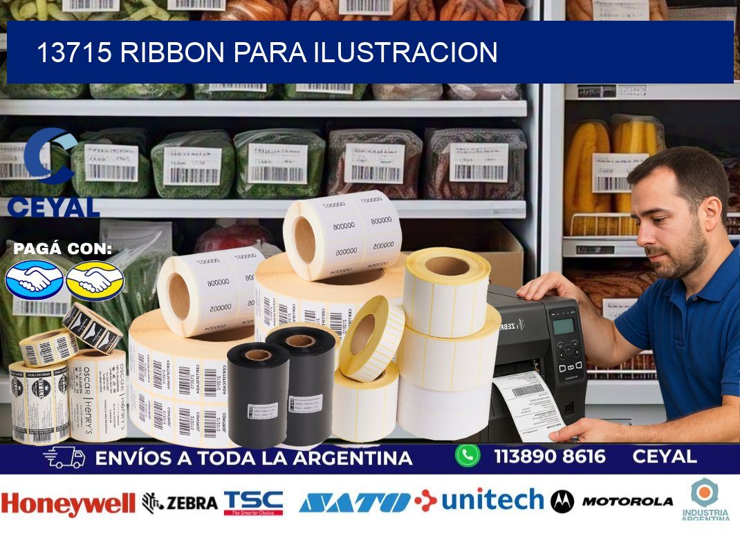 13715 ribbon para ilustracion