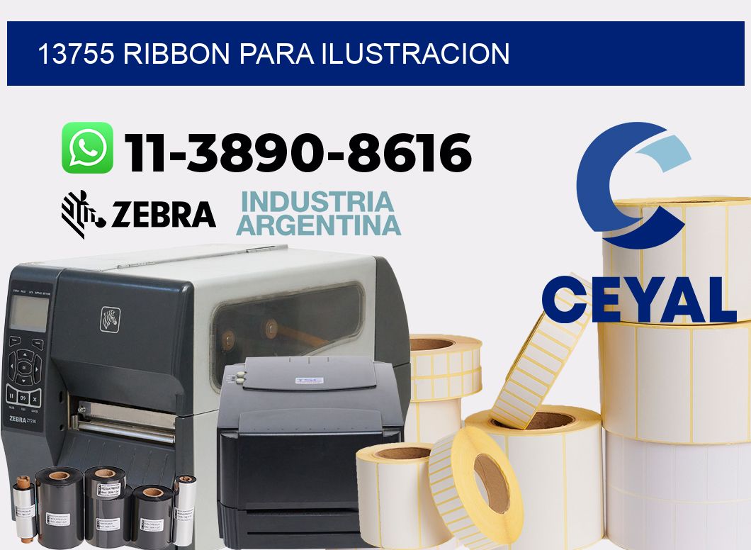13755 ribbon para ilustracion